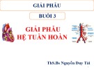 Bài giảng Giải phẫu: Buổi 3 - ThS.BS. Nguyễn Duy Tài