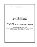 Giáo trình Chăm sóc cây cảnh (Nghề: Tạo dáng và chăm sóc cây cảnh) - Sở Nông nghiệp và PTNT tỉnh Bà Rịa – Vũng Tàu