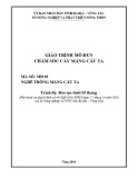 Giáo trình Chăm sóc cây mãng cầu ta (Nghề: Trồng mãng cầu ta) - Sở Nông nghiệp và PTNT tỉnh Bà Rịa – Vũng Tàu