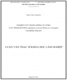 Luận văn Thạc sĩ Khoa học lâm nghiệp: Nghiên cứu nhân giống in vitro cây Trầm hương (Aquilaria crassna Pierre ex. Lecomte) tại Bình Thuận