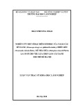 Luận văn Thạc sĩ Khoa học lâm nghiệp: Nghiên cứu một số đặc điểm sinh học của 3 loài cây: Sến xanh (Mimusops elengi var. poilanei Lecomte), Chiêu liêu (Terminalia chebula Retz.), Mũ nhà chùa (Mitrephora thorelii Pierre) là cơ sở cho việc lựa chọn làm cây xanh cho thủ đô Hà Nội