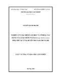 Luận văn Thạc sĩ Khoa học lâm nghiệp: Nghiên cứu đặc điểm lâm học và tính đa tác dụng của loài Chùm ngây(Moringa oleifera Lam.) phân bố tại vùng duyên hải Nam Trung Bộ