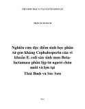 Luận văn Thạc sĩ Sinh học: Nghiên cứu đặc điểm sinh học phân tử gen kháng Cephalosporin của vi khuẩn E. coli sản sinh men Betalactamase phân lập từ người chăn nuôi và lợn tại Thái Bình và Sóc Sơn