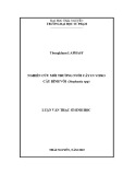 Luận văn Thạc sĩ Sinh học: Nghiên cứu môi trường nuôi cấy in vitro cây Bình vôi (Stephania spp)