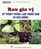 Kỹ thuật trồng rau làm gia vị: Phần 1