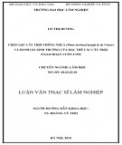 Luận văn Thạc sĩ Lâm nghiệp: Chọn lọc cây trội Thông nhựa (Pinus merkusii jungh & de Vriese) và đánh giá sinh trưởng của hậu thế các cây trội ở giai đoạn vườn ươm