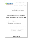 Khoá luận tốt nghiệp: Phân tích báo cáo tài chính tại Công ty cổ phần Tân Cảng - Cái Mép