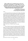 Điểm lại chính sách tỷ giá theo hướng phá giá tiền tệ của Trung Quốc từ năm 1981 đến nay và những điểm cần lưu ý với ngành dệt may trong bối cảnh gia nhập FTA và TPP của Việt Nam