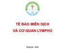 Bài giảng Tế bào miễn dịch và cơ quan Lympho - Đại học Lạc Hồng