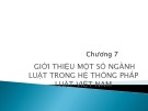 Bài giảng Pháp luật đại cương: Chương 7 - CĐ Kinh tế Công nghệ