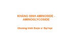 Bài giảng Aminoside Kháng sinh Aminoglycoside