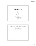 Bài giảng Kháng sinh Phenicol