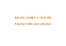 Bài giảng Kháng sinh Macrolide