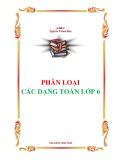 Phân loại các dạng Toán lớp 6