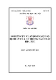 Luận án Tiến sĩ Y học: Nghiên cứu chẩn đoán một số bệnh lý của hệ thống não thất thai nhi