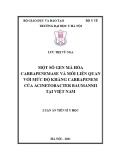 Luận án Tiến sĩ Y học: Một số gen mã hoá cacbapenemase và mối liên quan với mức độ kháng carbapenem của Acinetobacter baumannii tại Việt Nam