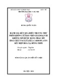 Tóm tắt Luận án Tiến sĩ Y học: Đánh giá kết quả điều trị ung thư phổi không tế bào nhỏ giai đoạn III không mổ được bằng phác đồ hóa chất Paclitaxel – Carboplatin kết hợp hóa xạ đồng thời