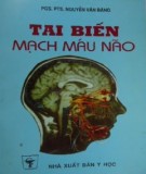 Điều trị tai biến mạch máu não: Phần 1