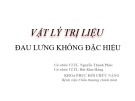 Bài giảng Vật lý trị liệu đau lưng không đặc hiệu