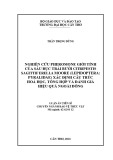 Luận án Tiến sĩ Sinh học: Nghiên cứu pheromone giới tính của sâu đục trái bưởi Citripestis sagittiferella Moore (Lepidoptera Pyralidae) xác định cấu trúc hoá học, tổng hợp và đánh giá hiệu quả ngoài đồng