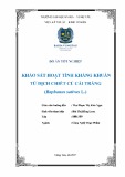 Đồ án tốt nghiệp: Khảo sát hoạt tính kháng khuẩn từ dịch chiết củ cải trắng (Raphanus sativus L.)