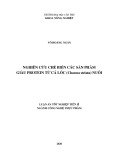 Luận án Tiến sĩ Công nghệ thực phẩm: Nghiên cứu chế biến các sản phẩm giàu protein từ cá lóc (Channa striata) nuôi