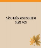 Sáng kiến kinh nghiệm Mầm non: Một số kinh nghiệm trong việc chỉ đạo làm đồ dùng đồ chơi tự tạo phục vụ các họat động trong trường mầm non