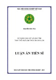 Luận án Tiến sĩ Nông nghiệp: Sử dụng gạo lật và gạo tấm thay thế ngô làm thức ăn cho lợn