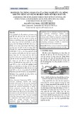 Đánh giá tác dụng giảm lún của công nghệ kết cấu rỗng khi ứng dụng xây dựng đê biển trên nền địa chất yếu