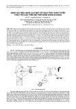 Đánh giá hiệu năng của một số giao thức định tuyến theo yêu cầu trên mô hình điểm nhóm di động