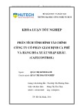 Khóa luận tốt nghiệp: Phân tích tình hình tài chính Công ty Cổ phần Giám định cà phê và hàng hóa xuất nhập khẩu (Cafecontrol)