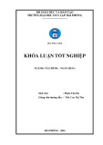 Khoá luận tốt nghiệp: Một số giải pháp nâng cao chất lượng hoạt động tín dụng tại Ngân hàng thương mại cổ phần Sài Gòn Công Thương – chi nhánh Hải Phòng