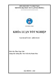 Khoá luận tốt nghiệp: Hoàn thiện công tác kiểm toán khoản mục Doanh thu bán hàng và Giá vốn hàng bán trong kiểm toán báo cáo tài chính do công ty TNHH Kiểm toán Việt Anh – chi nhánh Hải Phòng thực hiện