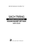 Sách trắng Doanh nghiệp Việt Nam năm 2020: Phần 1