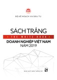 Sách trắng Doanh nghiệp Việt Nam năm 2019