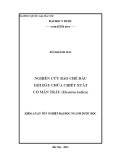 Khóa luận tốt nghiệp: Nghiên cứu bào chế dầu gội đầu chứa chiết xuất cỏ mần trầu