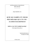 Khóa luận tốt nghiệp: Bước đầu nghiên cứu thành phần hóa học quả cây ươi - Scaphium Macropodum