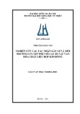 Luận văn Thạc sĩ Hóa học: Nghiên cứu các tác nhân gây gỉ và môi trường lưu giữ đối với các di vật văn hóa chất liệu hợp kim đồng