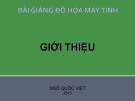 Bài giảng Đồ họa máy tính: Giới thiệu - Ngô Quốc Việt