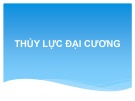 Bài giảng Thủy lực đại cương - Chương 2: Thủy tĩnh học