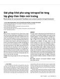 Giải pháp khối phá sóng tetrapod bê tông lắp ghép thân thiện môi trường