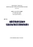 Khóa luận tốt nghiệp: Nghiên cứu tổng hợp vật liệu MOF-199 và khảo sát hoạt tính xúc tác trên phản ứng ghép C-N