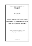 Khóa luận tốt nghiệp đại học: Nghiên cứu chế tạo cao su blend CSTN/NBR/Clay nanocompozit trên cơ sở CSTN/Clay masterbatch