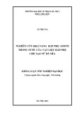 Khóa luận tốt nghiệp đại học: Nghiên cứu khả năng hấp phụ amoni trong nước của vật liệu hấp phụ chế tạo từ bã mía