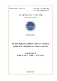 Luận án Tiến sĩ Kĩ thuật: Ổn định nhiệt đàn hồi của tấm và vỏ thoải composite gia cường carbon nanotube