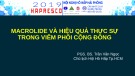 Bài giảng Macrolide và hiệu quả thực sự trong viêm phổi cộng đồng - PGS. BS. Trần Văn Ngọc