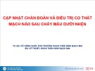 Bài giảng Cập nhật chẩn đoán và điều trị co thắt mạch não sau chảy máu dưới nhện - TS. BS. Võ Hồng Khôi