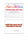Bài giảng Nhiễm cúm trong thai kỳ: Gánh nặng và giải pháp - BS. CKII. Vương Đình Bảo Anh