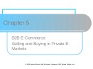 Lecture Electronic commerce - Chapter 5: B2B E-Commerce: Selling and Buying in Private E-Markets