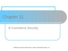 Lecture Electronic commerce - Chapter 11: E-Commerce Security